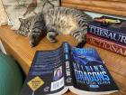 Killing Dragons Paperback out now! Killing Dragons Paperback out now!